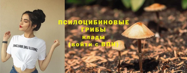 PSILOCYBIN Алексин
