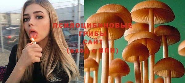 PSILOCYBIN Алексин