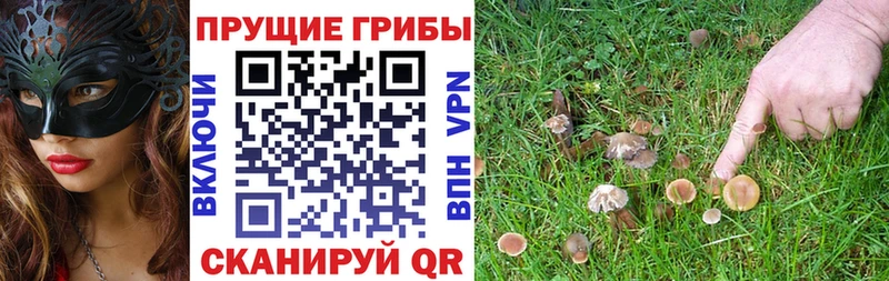 KRAKEN онион Бронницы Галлюциногенные грибы MAGIC MUSHROOMS